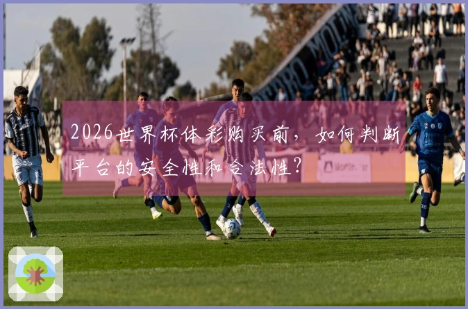 2026世界杯体彩购买前，如何判断平台的安全性和合法性？