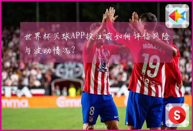 世界杯买球APP投注前如何评估风险与波动情况？